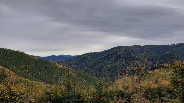 Vedere de pe Drumul Talienilor