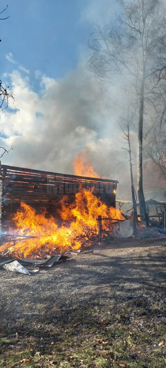 Un bolnav psihic lăsat nesupravegheat câteva minute a provocat incendiul de proporții de la Straja