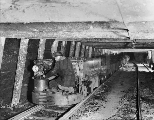 „Şantierul minier Leşul Ursului”