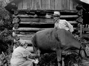 “Expoziţia zootehnică din Câmpulung”