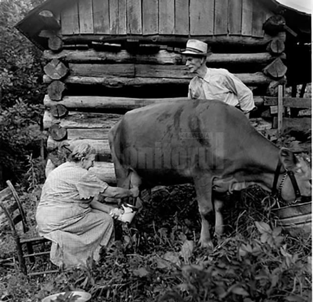 “Expoziţia zootehnică din Câmpulung”