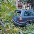 Trei autoturisme parcate pe strada Oituz au fost avariate de un copac care a căzut peste acestea