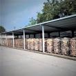 Aproape 4.000 mc de lemn de foc și de lucru disponibil la trei ocoale ale Direcției Silvice ...