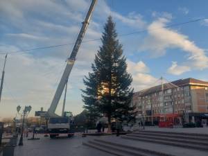 Bradul de sărbători a fost adus în centrul Sucevei