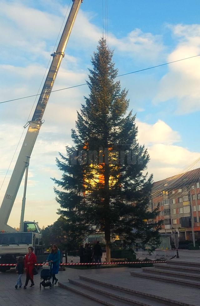 Bradul de sărbători a fost montat marți în centrul Sucevei