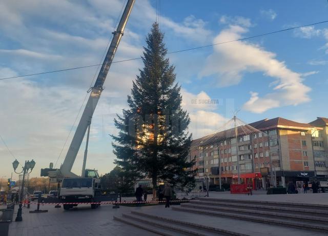 Bradul de sarbatori a fost montat marti in centrul Sucevei