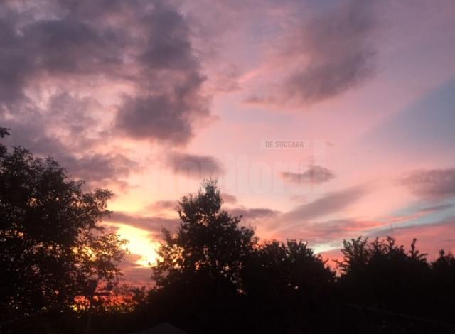 Îmbrățișări autumnale