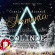 Corala bărbătească „Armonia” va concerta la Casa de Cultură din Vatra Dornei