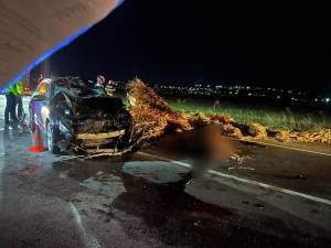 Un autoturism a intrat violent într-o căruță care se deplasa pe drumul național/european
