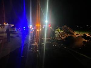 Un autoturism a intrat violent într-o căruță care se deplasa pe drumul național/european