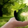 Activitate despre educația ecologică, miercuri, cu participarea elevilor de la Școala ...