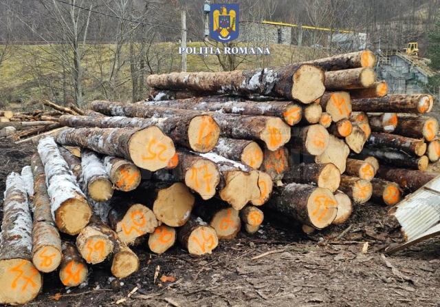 O serie de controale derulate în trafic la începutul acestei săptămâni au dus la confiscare a peste 10 metri cubi de material lemnos