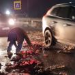 Mațe și resturi animale provenite de la Abatorul Agrolinevol Dornești, împrăștiate pe un ...