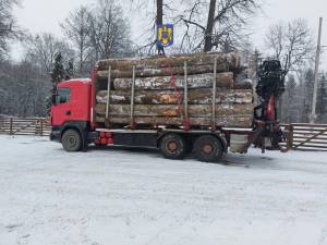 Tir confiscat de polițiști pentru transport ilegal de material lemnos