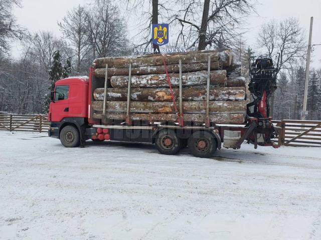 Tir confiscat de polițiști pentru transport ilegal de material lemnos