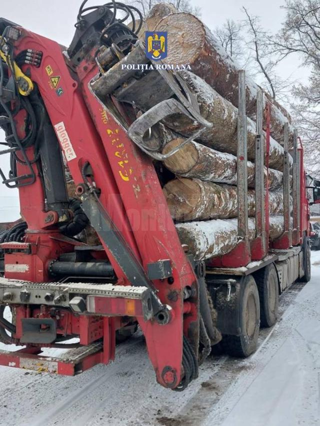 Tir confiscat de polițiști pentru transport ilegal de material lemnos