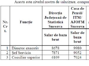 Direcția de Statistică Suceava a transmis și un tabel în care prezintă salariile din instituție