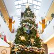 Ateliere de creație pentru copii și „Crăciunul Cosmic”, la Iulius Mall Suceava