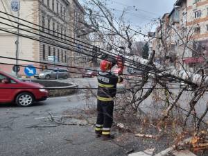 Copac căzut pe carosabil, în fața Teatrului Municipal „Matei Vișniec” din Suceava