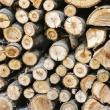 Aproape 8500 mc de lemn de foc disponibil la două ocoale ale Direcției Silvice Suceava