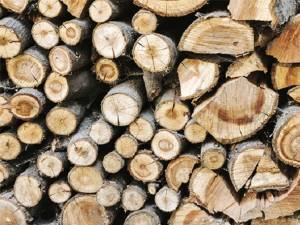 Aproape 8500 mc de lemn de foc disponibil la două ocoale ale Direcției Silvice Suceava