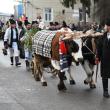 Mii de suceveni au participat la Suceava la cel mai mare festival internațional al obiceiurilor de iarnă