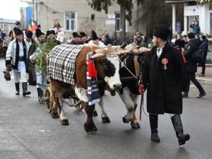 Mii de suceveni au participat la Suceava la cel mai mare festival internațional al obiceiurilor de iarnă