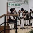 Festivalul ”Cetina de brad”