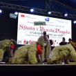 Festivalul de cântece, datini și obiceiuri de Crăciun și Anul Nou „Sfântă-i brazda plugului”