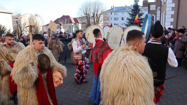 Urșii din Bahna Arini