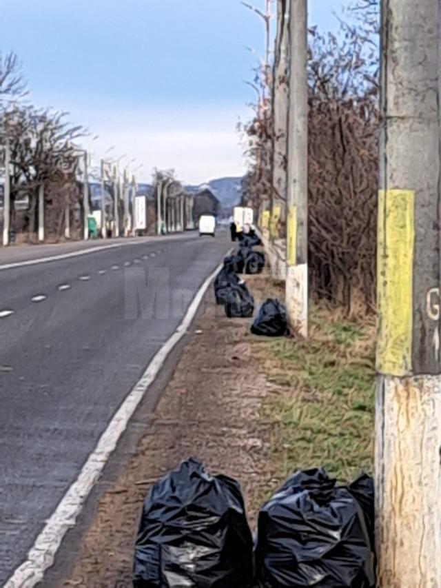 Acțiune de strângere a tonelor de gunoaie