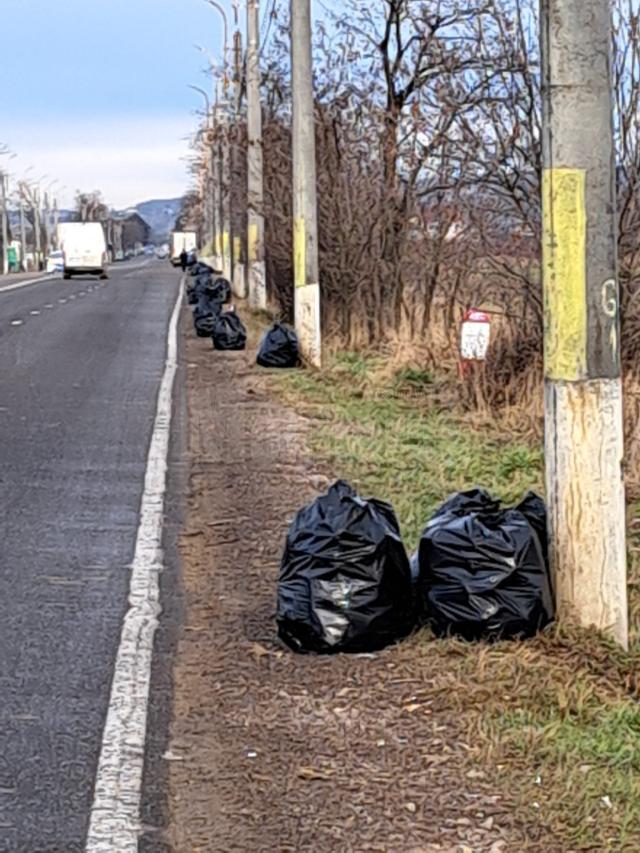 Acțiune de strângere a tonelor de gunoaie