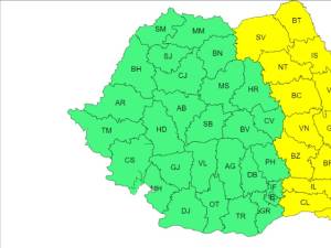 Cod galben de vânt, ninsori, viscol și polei valabil în județul Suceava până marți dimineața