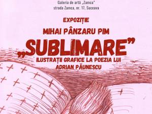 Expoziția „Sublimare” realizată de maestrul Mihai Pânzaru PIM, marți, la Galeria Zamca
