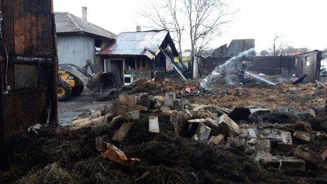 8 bovine au murit într-un puternic incendiu care a fost aproape să cuprindă și casa fermierilor