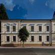 O piesă unicat, Drapelul de la Palatul Cuza de la Ruginoasa, expus la Muzeul Național al Bucovinei