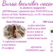Bursă specială de locuri de muncă în Suceava, pentru construcții și confecții ...