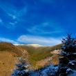 Frumoase peisaje de iarnă din pădurile Sucevei, prezentate de RNP