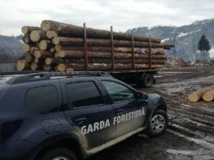 Garda Forestiera Suceava continuă verificările pe drumurile publice, în păduri și la depozitele de material lemnos