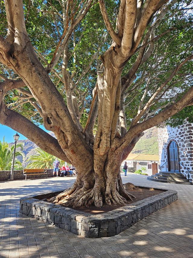 Curs de formare Erasmus+, Conflict Management for School Staff, în Spania