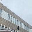 Doctorița Silvia Dumitrescu a trecut la cele veșnice