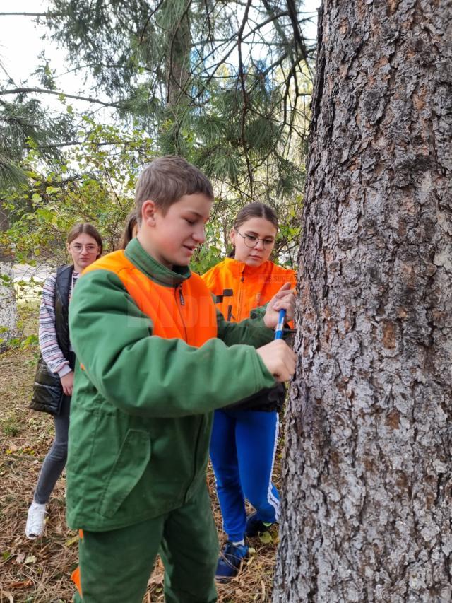 Colegiul va mai trimite în concurs și un echipaj de băieți