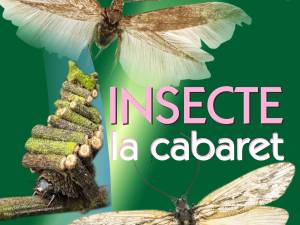 Lecția de educație pentru elevi „Insecte la Cabaret”, la Muzeul de Științele Naturii