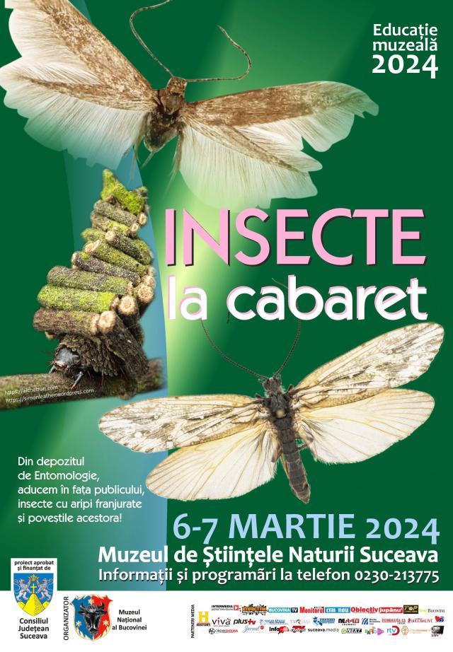 Lecția de educație pentru elevi „Insecte la Cabaret”, la Muzeul de Științele Naturii