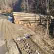 Amenzi mari pentru lemne transportate și depozitate neglijent în pădure, prin albia ...