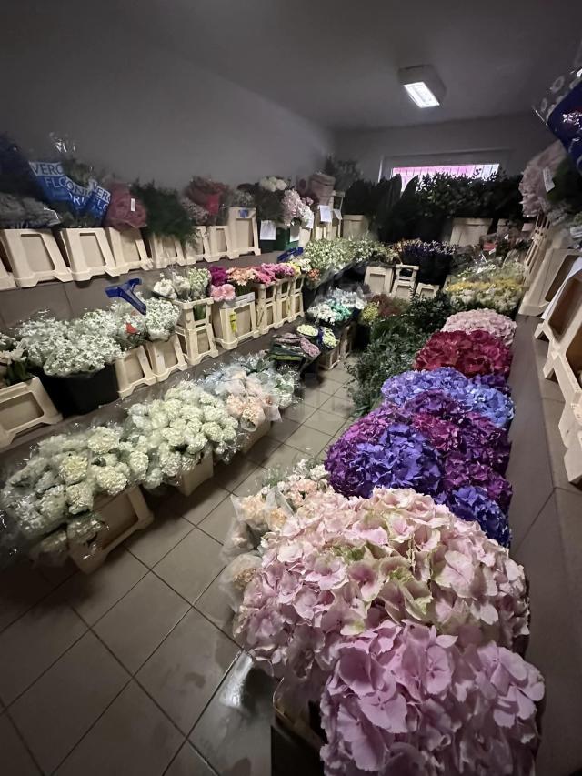 Oferte speciale la Depozitul de Flori Cattleya Warehouse din Șcheia