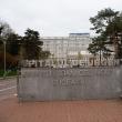 A murit la spital la zece zile după ce a fost lovit de o răchită