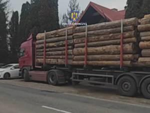Tir care transporta ilegal peste 40 mc de material lemnos, indisponibilizat de polițiști