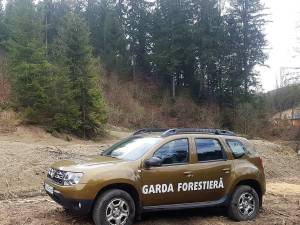 Garda Forestiera Suceava a aplicat sancțiuni de peste 150.000 lei pentru doi agenți economici prinși cu transporturi fictive