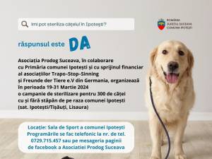 Campanie de sterilizare gratuită pentru 300 de câini, organizată la Ipotești